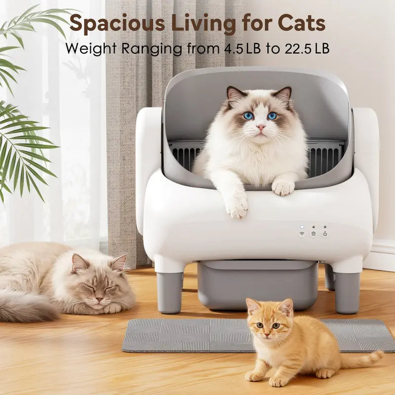 Smart Automatic Self-Cleaning Litter Box for Multiple Cats